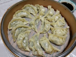 猪肉蒲瓜蒸饺的做法步骤：8