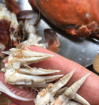 杭椒炒海蟹的做法步骤：2