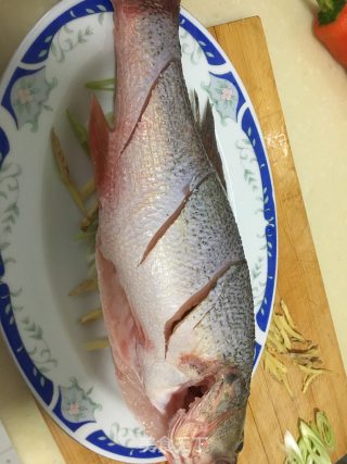 清蒸鲈鱼的做法步骤：3
