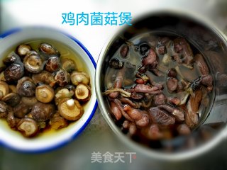鸡肉菌菇煲的做法步骤：2