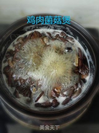 鸡肉菌菇煲的做法步骤：8