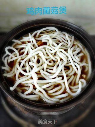 鸡肉菌菇煲的做法步骤：9