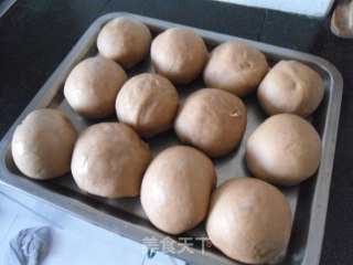 巧克力炼乳圆餐包的做法步骤：9