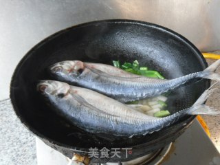 茄汁烧鲅鱼的做法步骤：4