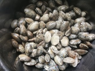 清蒸花蛤的做法步骤：1