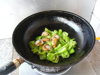 青辣椒炒鲜贝的做法步骤：6