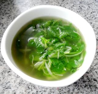 清汤小白菜的做法步骤：6