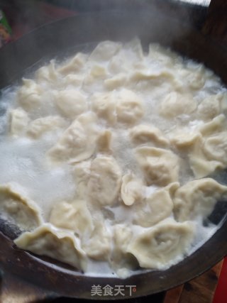 酸菜猪肉馅水饺的做法步骤：5