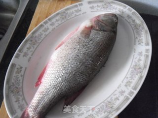 特色煎鲈鱼的做法步骤：1