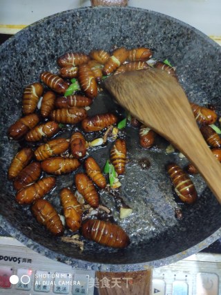 干煸茧蛹的做法步骤：8