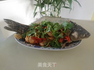 桂花鱼的做法步骤：22