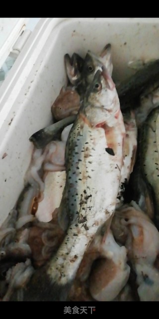 小满日食记之清蒸自钓白卤子鱼的做法步骤：1