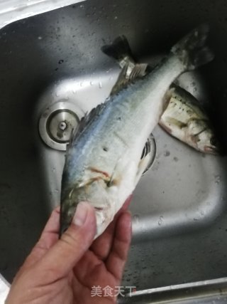 小满日食记之清蒸自钓白卤子鱼的做法步骤：2