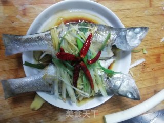 小满日食记之清蒸自钓白卤子鱼的做法步骤：10