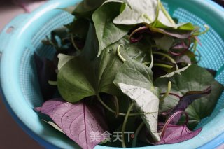 蒜蓉炒薯藤的做法步骤：2