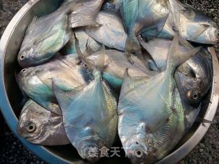 白灼小鲳鱼的做法步骤：1