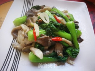 上海青炒平菇的做法步骤：8