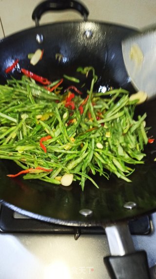 辣炒扁豆丝的做法步骤：5