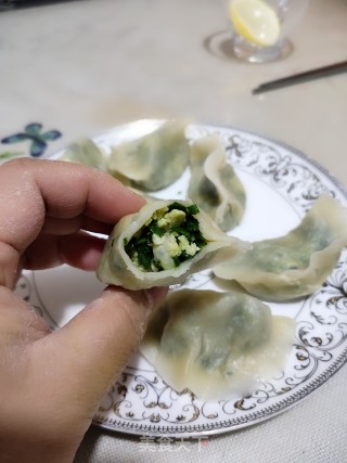 三鲜水饺的做法步骤：14