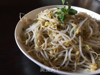 醋炒绿豆芽的做法步骤：7