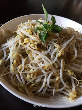 醋炒绿豆芽的做法步骤：8