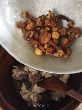 花胶焖鸡的做法步骤：8