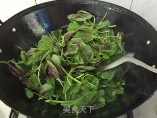 蒜蓉炒苋菜的做法步骤：5