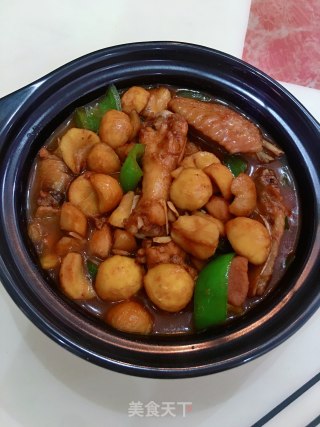 板栗焖鸡的做法步骤：11