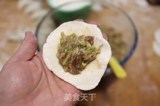 羊肉西葫芦饺子的做法步骤：8