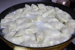 羊肉西葫芦饺子的做法步骤：10