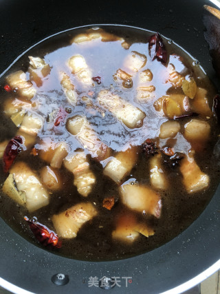 酸白菜猪肉炖粉条的做法步骤：10