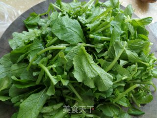 清炒萝卜菜苗的做法步骤：3