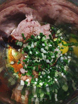 白菜猪肉汤饺的做法步骤：4
