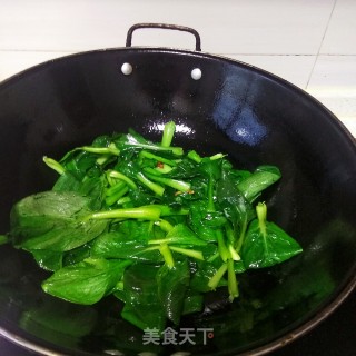 青菜炒平菇的做法步骤：6