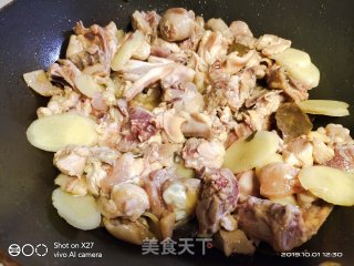 板栗焖草鸡的做法步骤：5