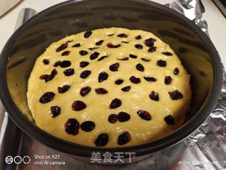 蔓越莓南瓜发糕的做法步骤：6