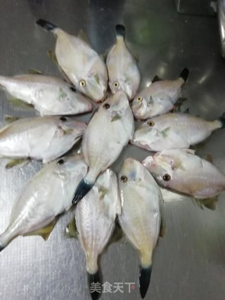 小满日食记之油酥牛鱼的做法步骤：4