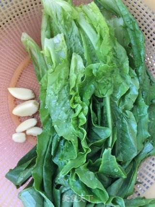 蒜茸油麦菜的做法步骤：1
