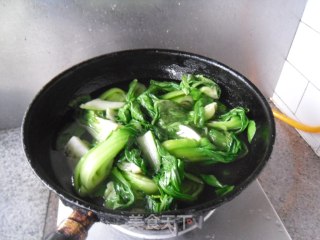 白灼油菜的做法步骤：5