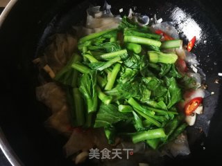 菜芯焖粉皮的做法步骤：9