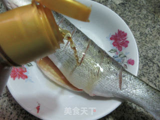 清蒸海鲈鱼的做法步骤：4