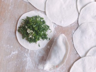 茴香鸡蛋水饺的做法步骤：7