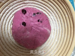 火龙果蔓越莓欧包的做法步骤：7