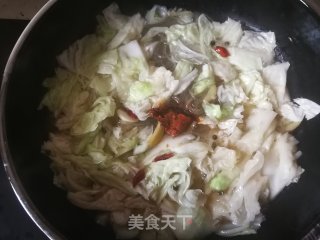 白菜豆腐炖粉条的做法步骤：7