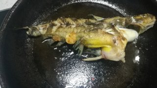 昂刺鱼汤的做法步骤：4