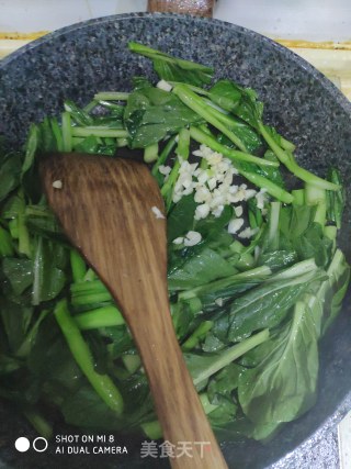 蒜炒 菜心的做法步骤：5