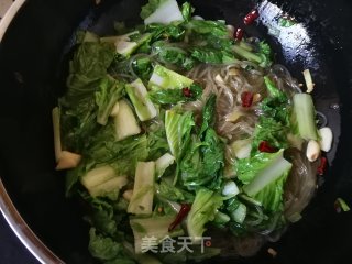 小白菜豆腐炖粉条的做法步骤：8