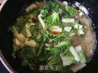小白菜豆腐炖粉条的做法步骤：9