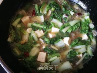 小白菜豆腐炖粉条的做法步骤：11