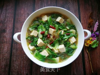 小白菜豆腐炖粉条的做法步骤：12